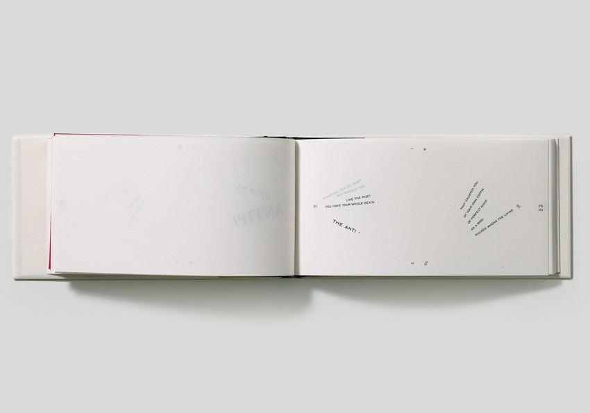 Artwork 'The Antibook' by Francisca Prieto - detail book 1
